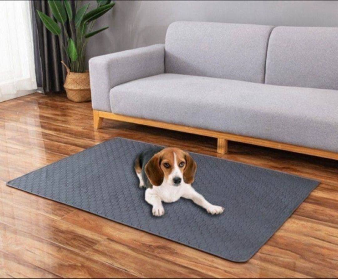 ペットシーツ シート トイレ おしっこマット 犬猫　 洗える　2枚　ベージュ