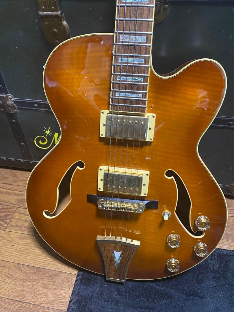 緊急最終値下げ！Ibanez ARTCORE AF95-VLS-12-01