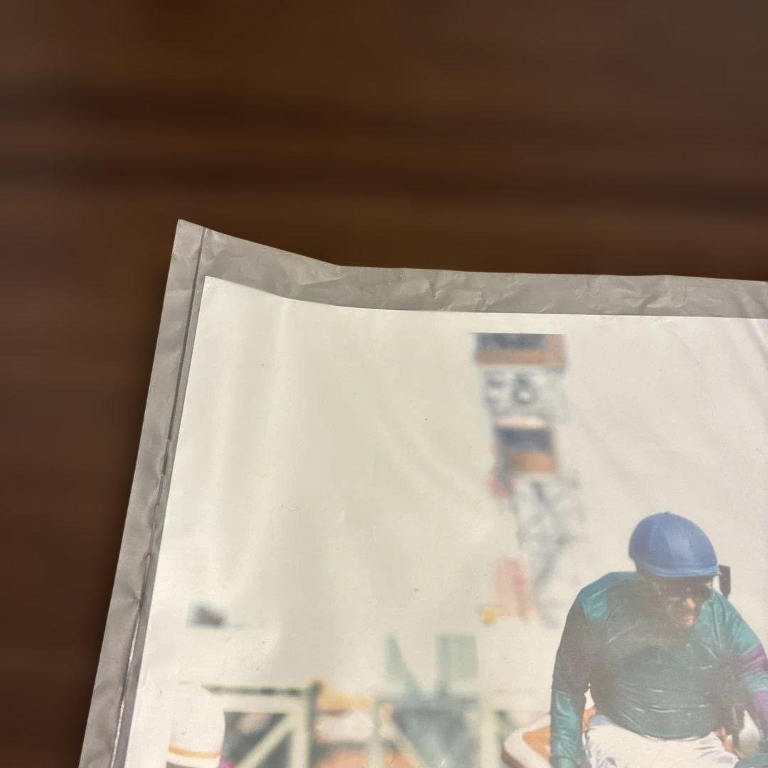 第8回ヴィクトリアマイル 優勝馬ヴィルシーナ