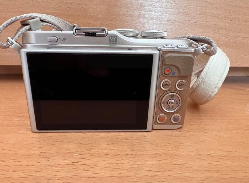 【美品】 OLYMPUS PEN E-PL9 EZダブルズームキット