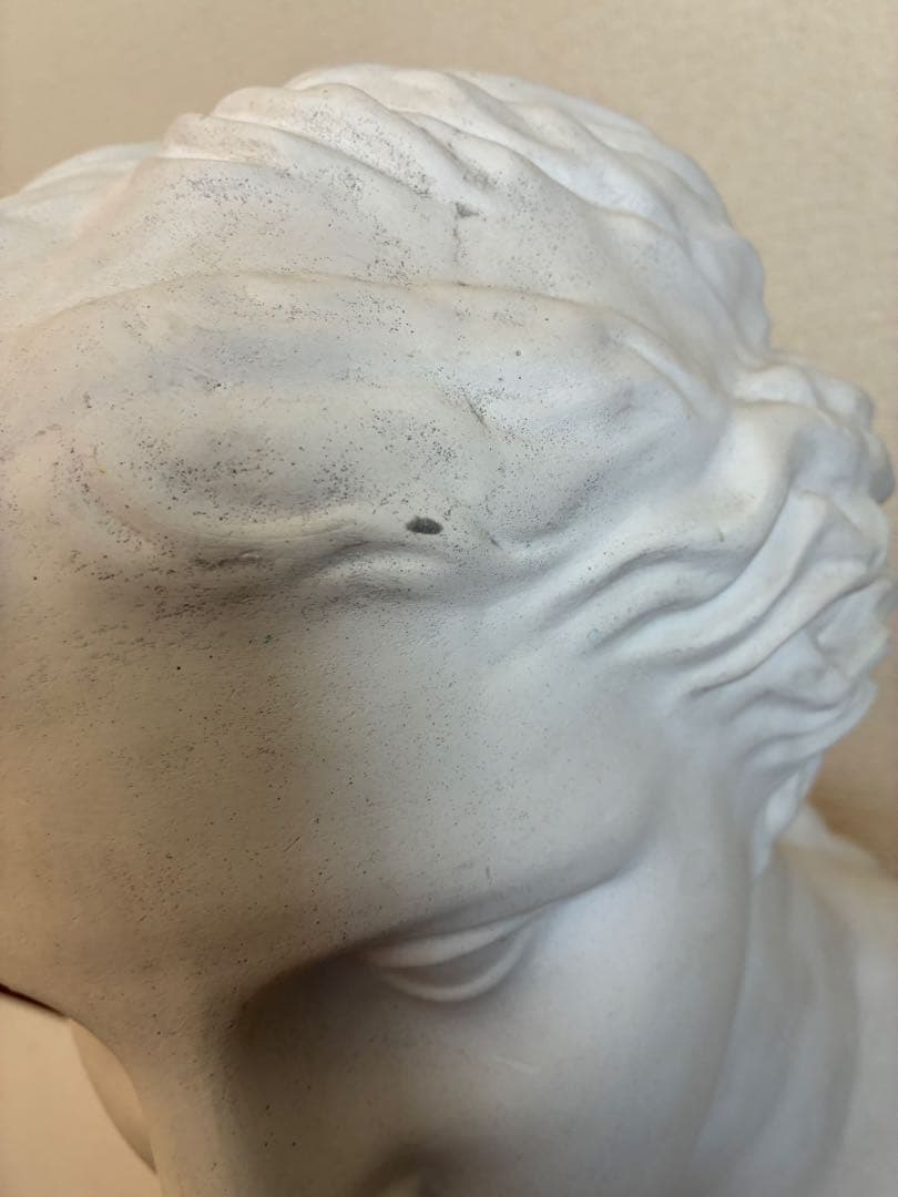 石膏像　ミロのヴィーナス　胸像　オブジェ　置物　美術　デッサン　アート　レトロ