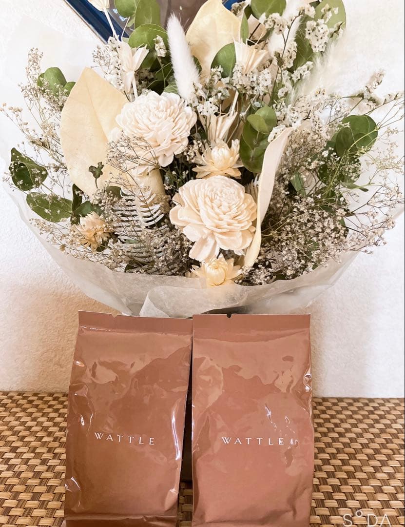 WATTLE ワトルクッションファンデーション　ナチュラルベージュ　マットカバー