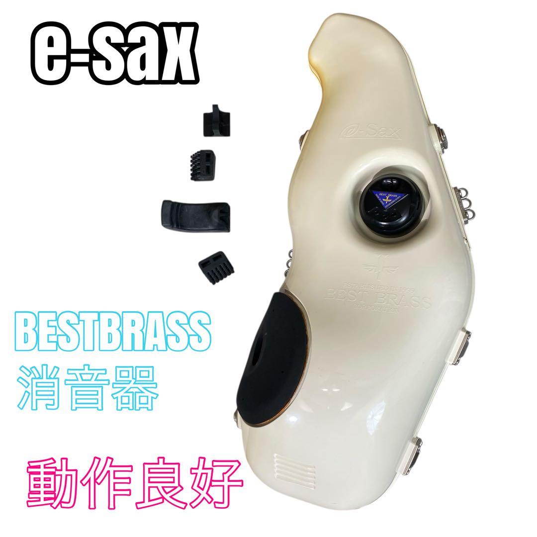 【動作良好】e-sax アルトサックス　BESTBRASS 消音器