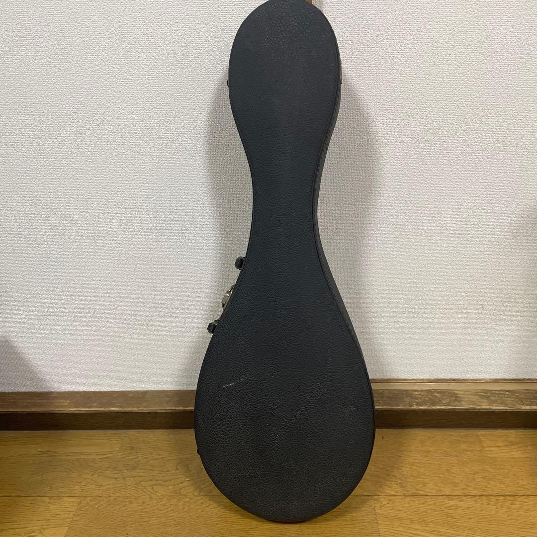 中出六太郎マンドリン ハードケース付