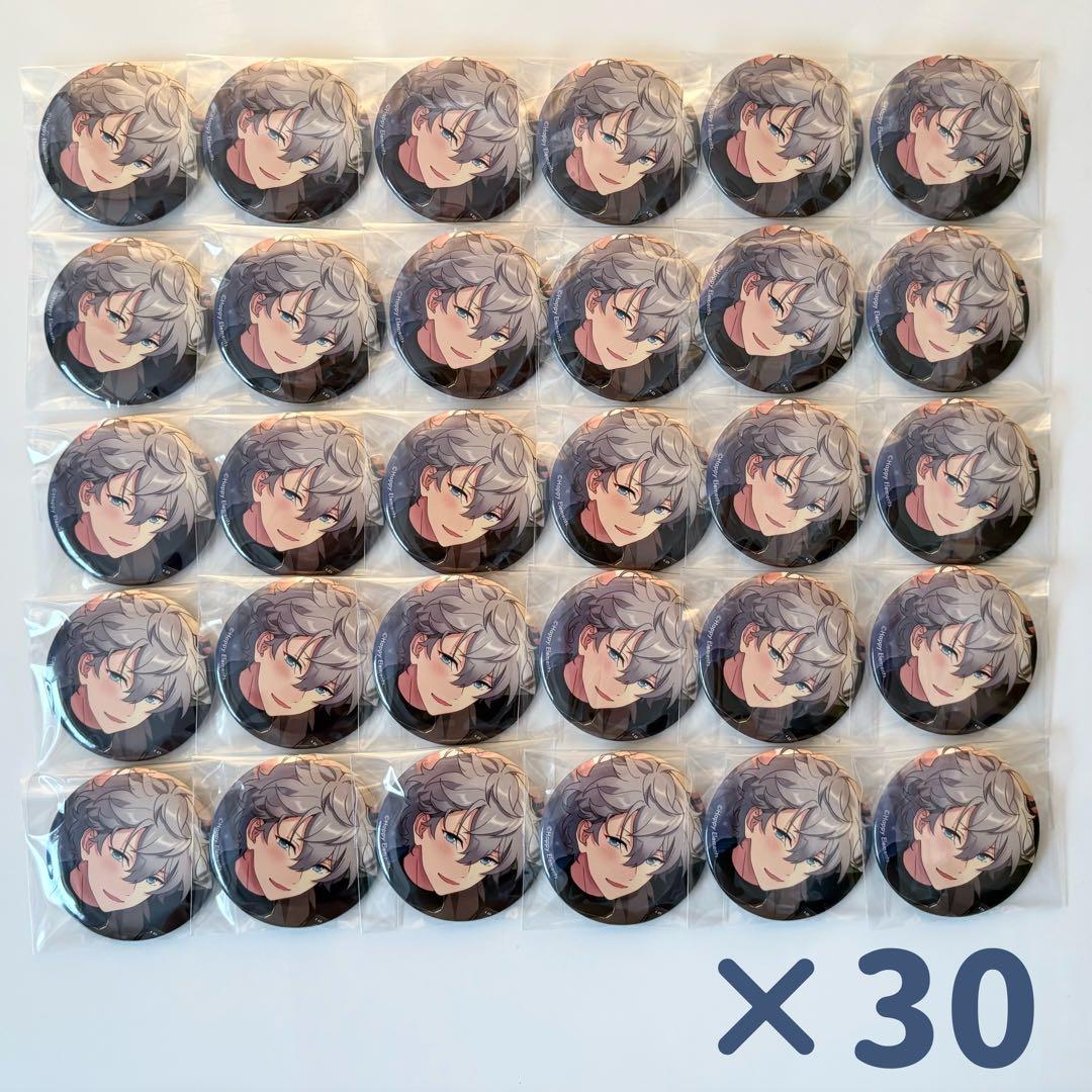 瀬名泉 フィーチャー2 缶バッジ 30点