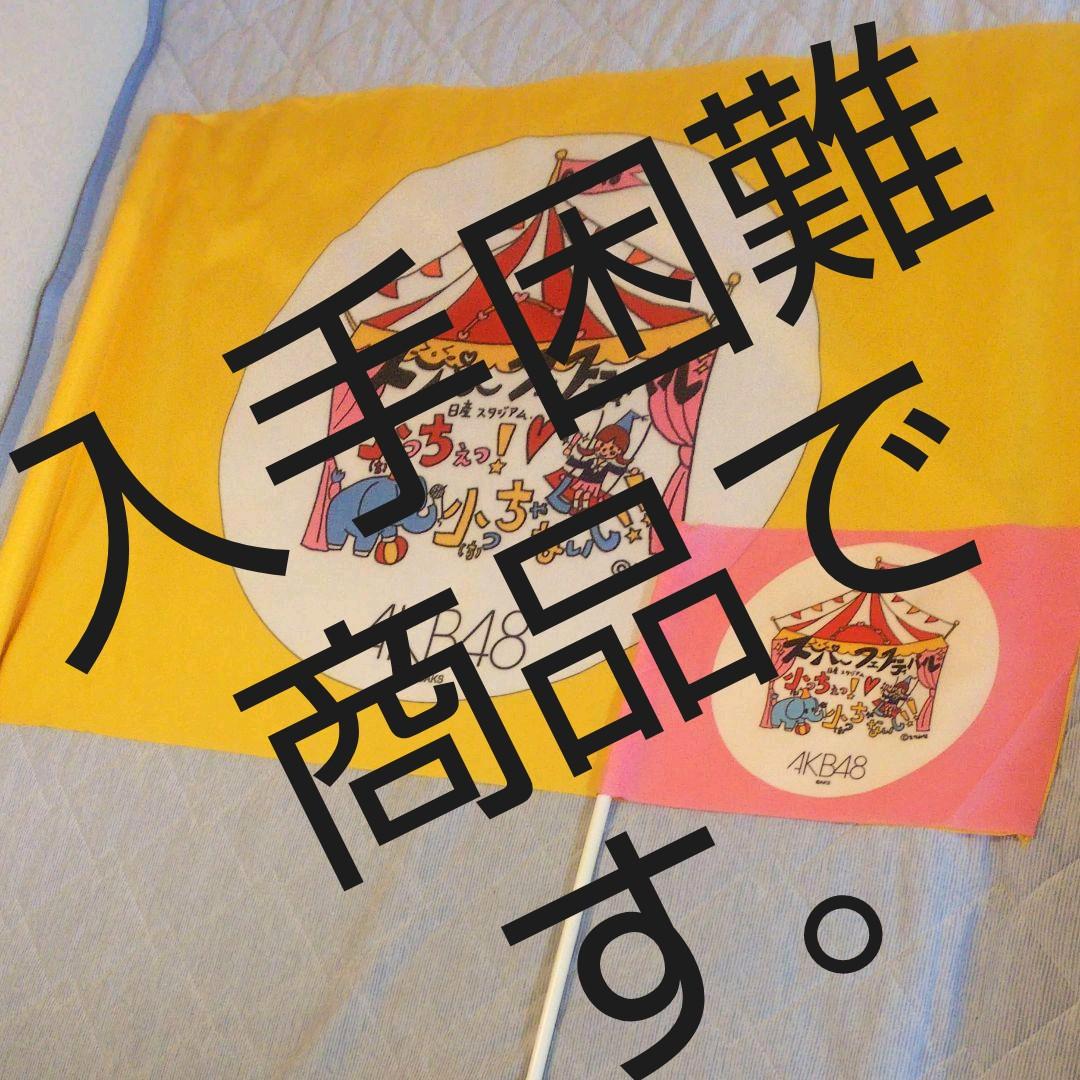 AKB48 スーパーフェスティバル 日産スタジアム メンバー使用フラッグ 希少