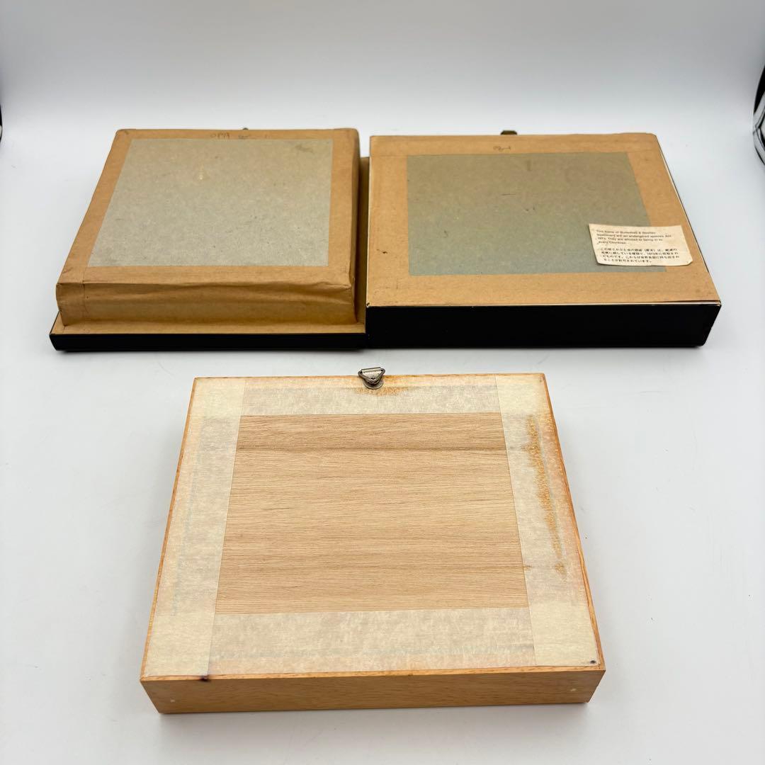 蝶々 標本 まとめ売り アゲハ グリーン ブルー 0613-S6299s