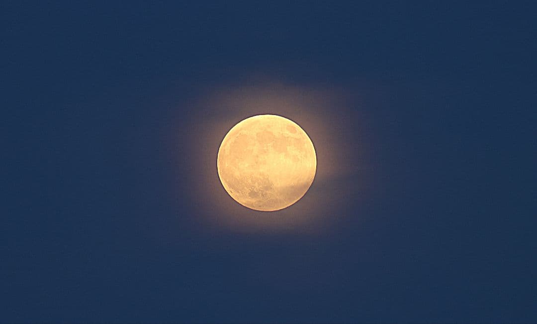 今夜のみ限定値引きEF 70-300mm F4-5.6 IS USM 美品