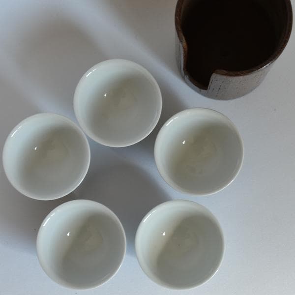 煎茶道 神代タモ碗入＋染付煎茶椀5客セット23