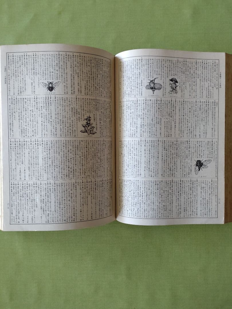 広辞苑 第一版　第一刷