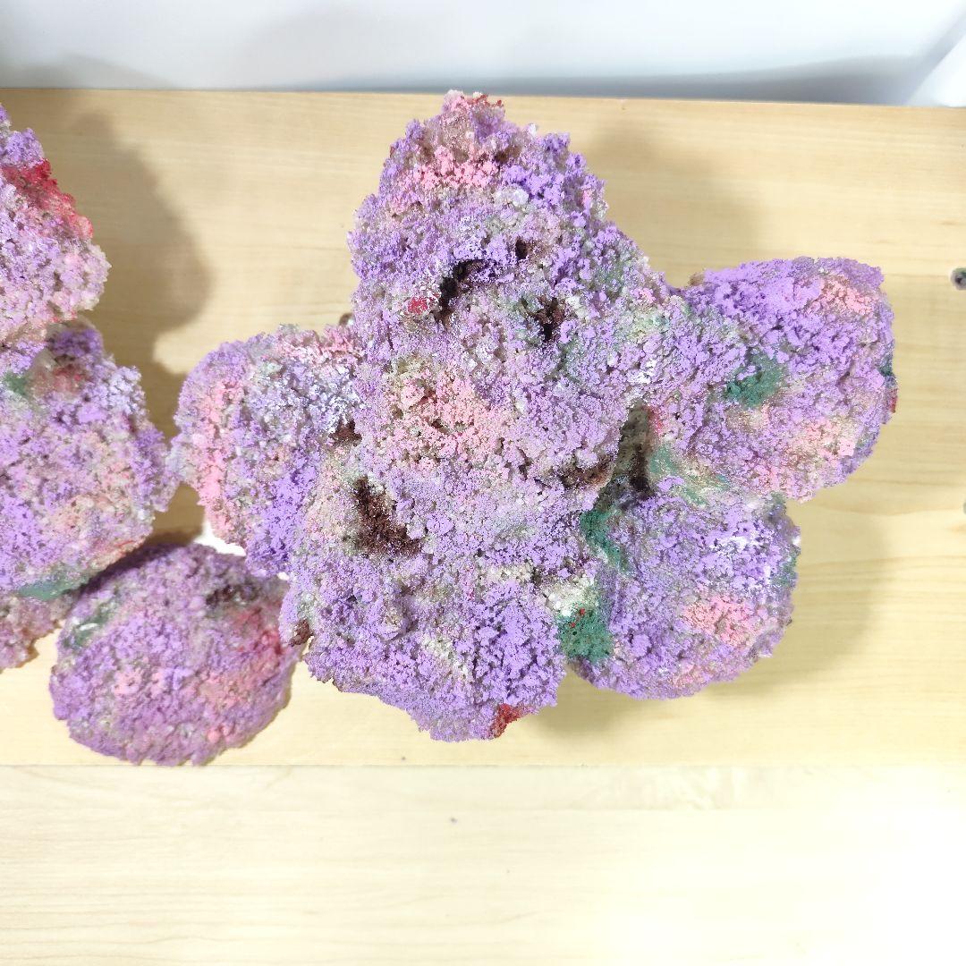 新品アク抜き不要 分離型人工ライブロック 60cm海水水槽用 レプリカ 多孔質5