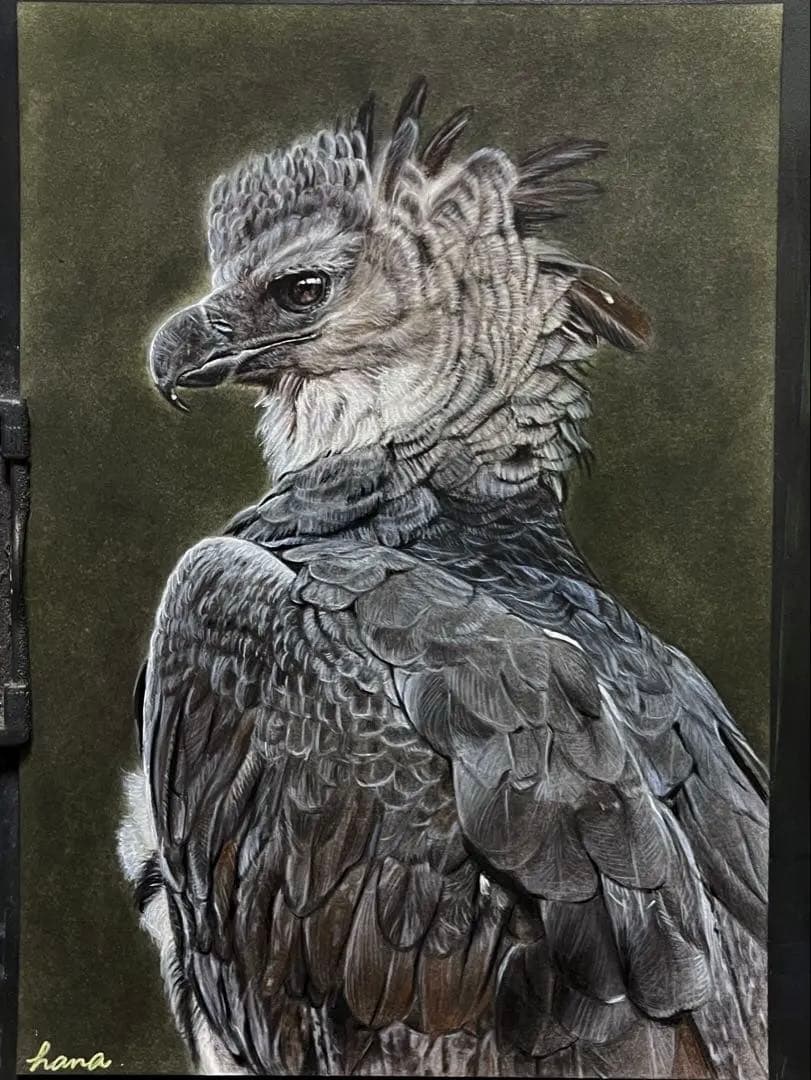 【kako】　2点 まとめ商品