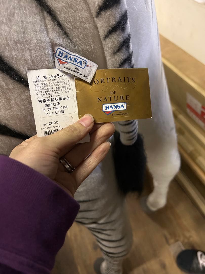 Hansa シマウマ Portraits of Nature art 26009