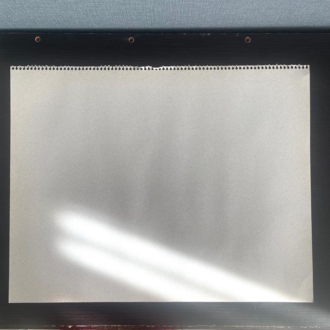 パステル画/色褪せない花束の贈り物/癒し/ヒーリング/パワースポット/アネモネ