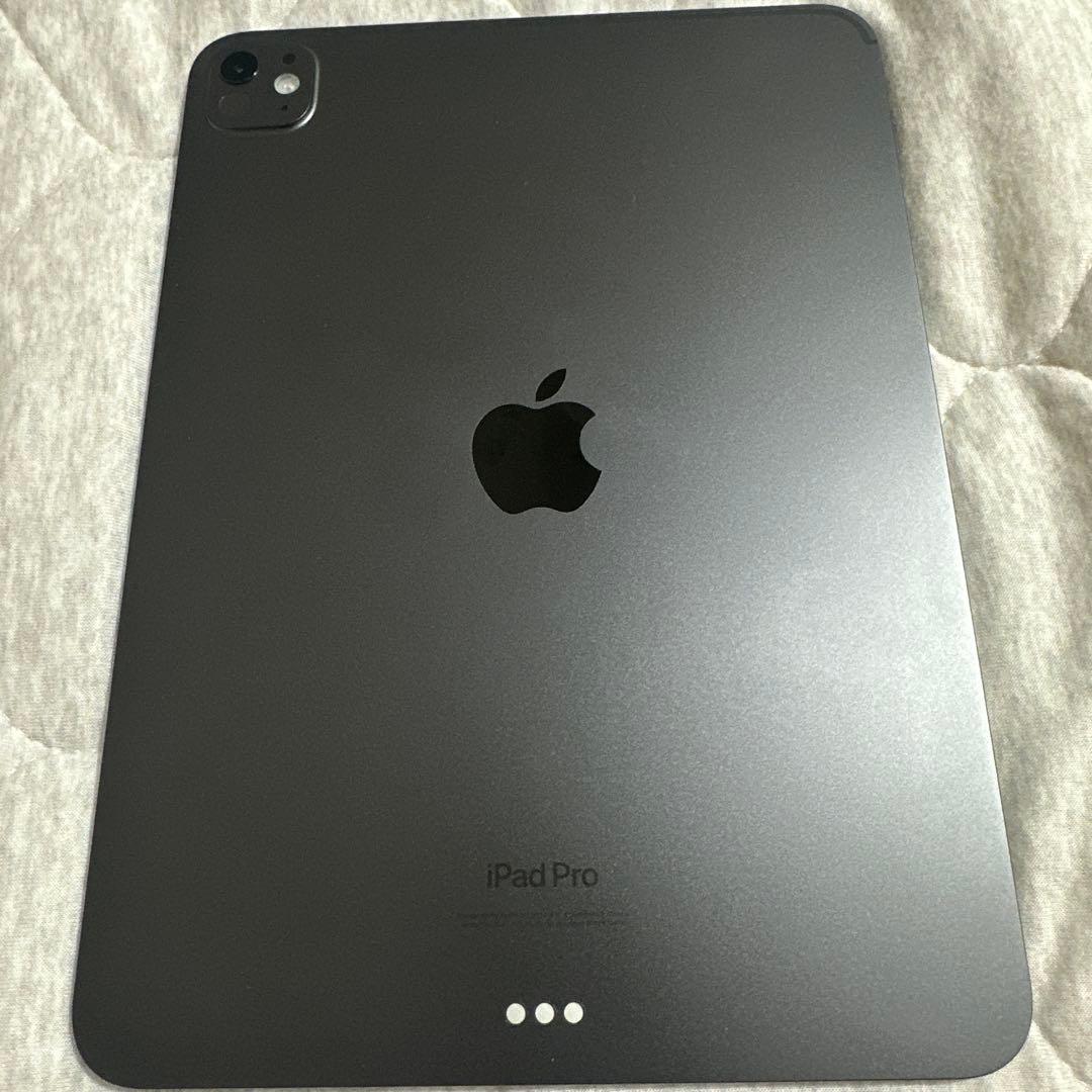 iPadPro11 M4 WiFi 256GB 美品