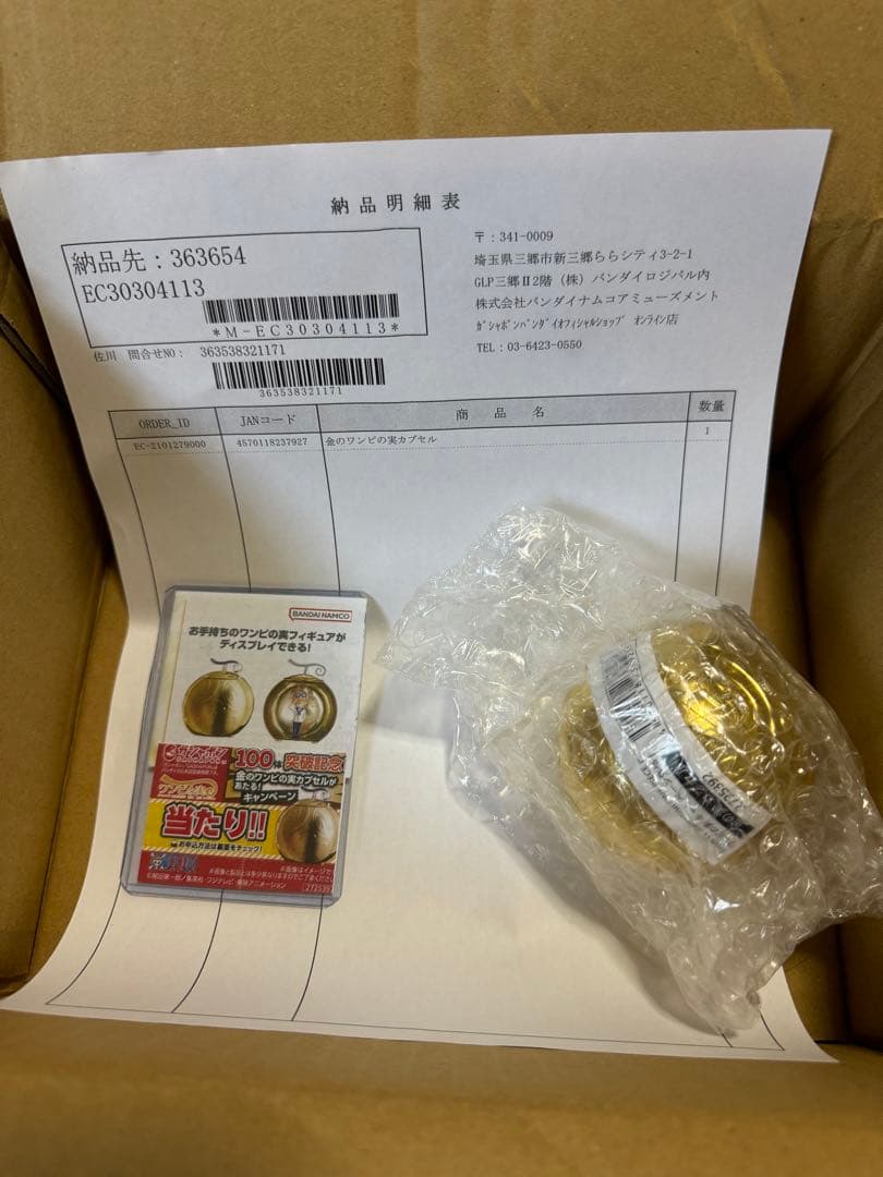 ワンピの実　金の実　金のワンピの実　当たりチケット　500名限定　激レア