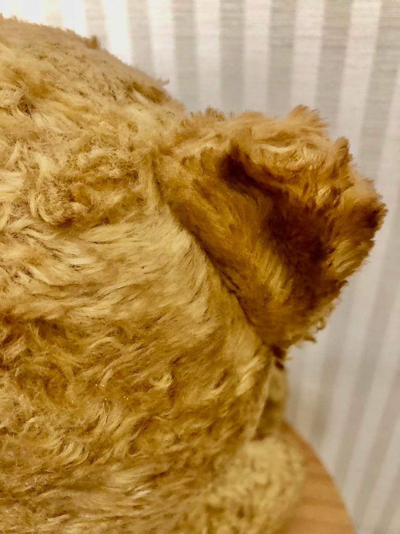 ☆アンティーク☆　ドイツ　クマのぬいぐるみ　ベア　人形