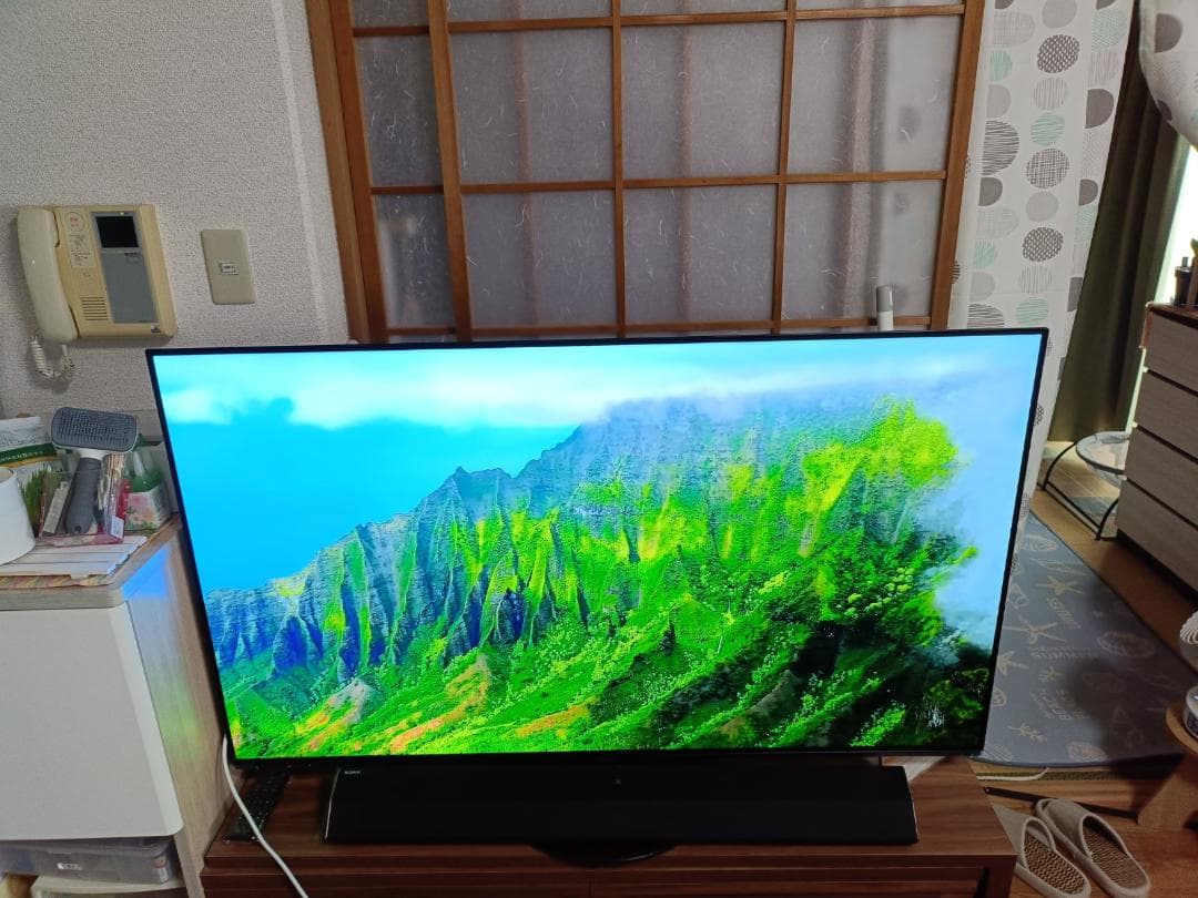 パナソニック ビエラ 有機EL 4K TH-55HZ1000 2020年 保証付
