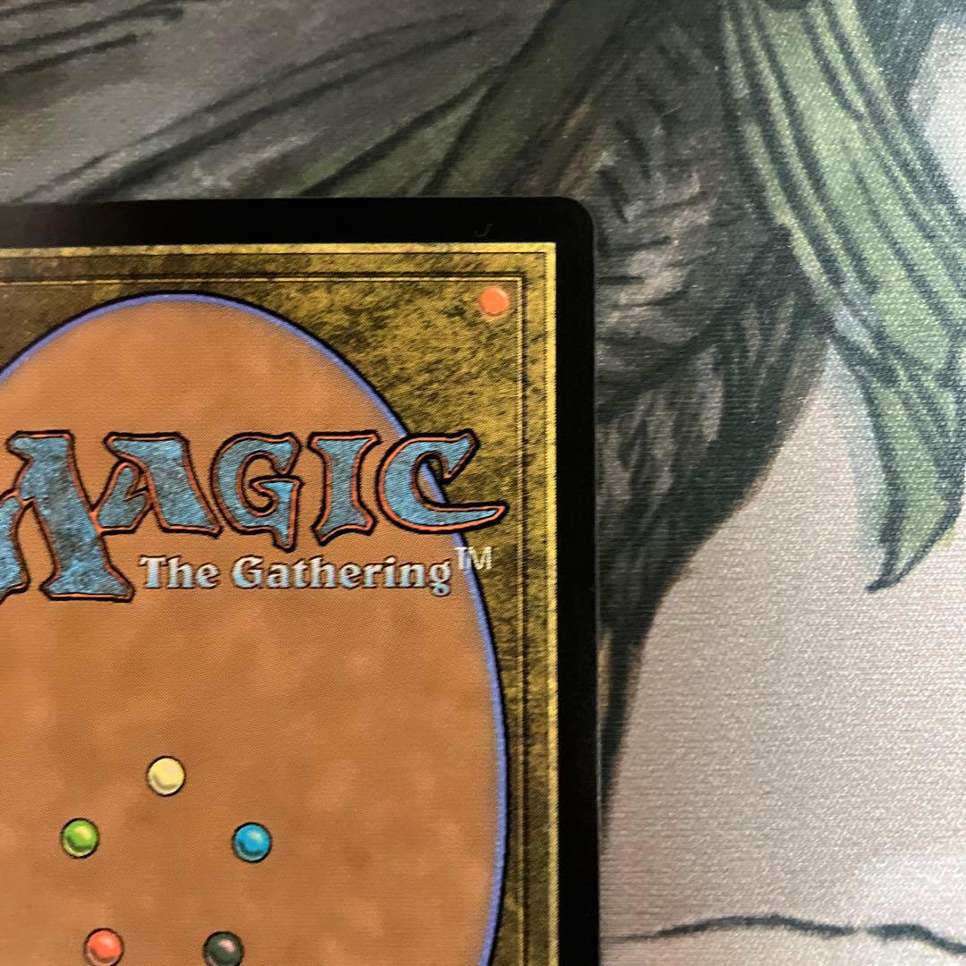 MTG 魔導の力を持つ少女、ティナ　サージfoil日本語　1枚