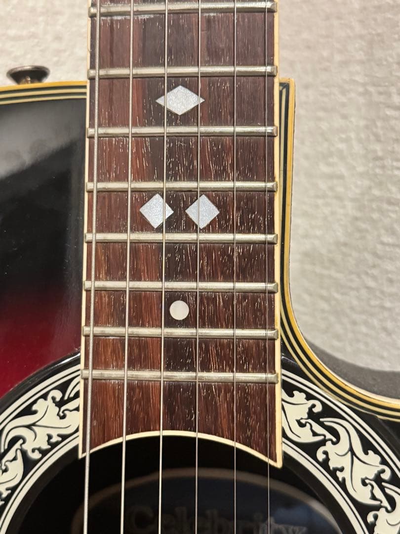 (5) エレアコ Ovation Celebrity CC157 オベーション