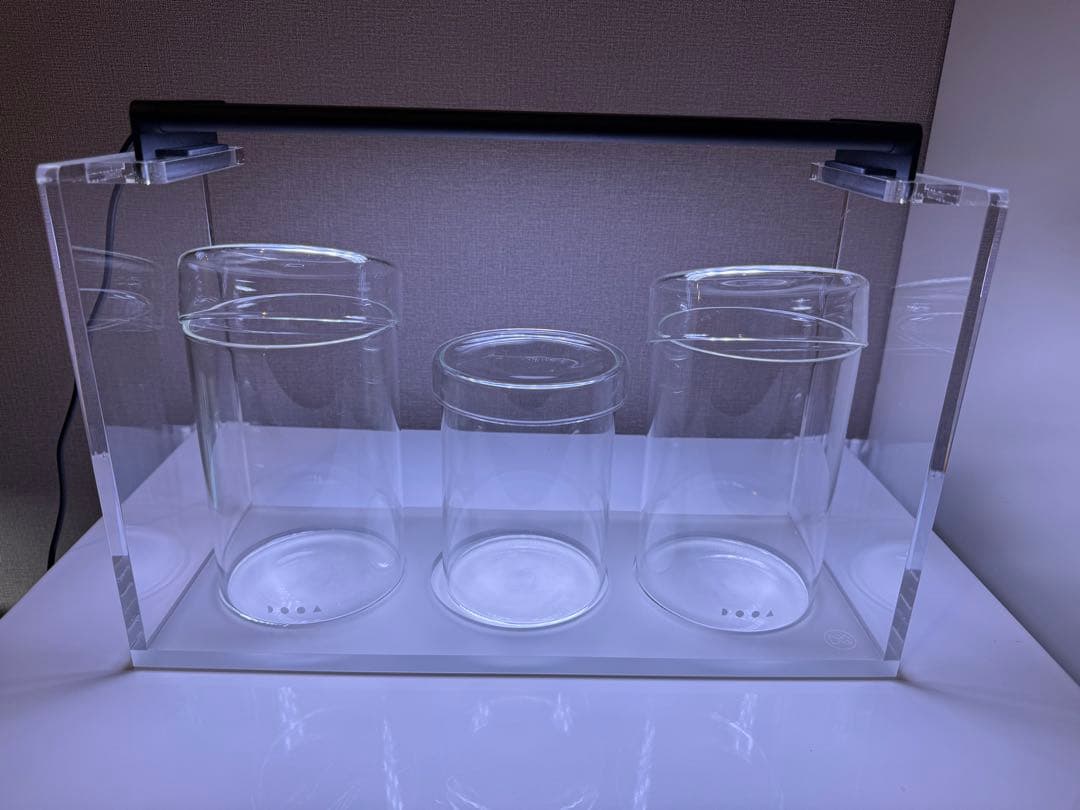 ADA LAB限定 パルダライト+アクリル展示台+ガラスポットMARUセット