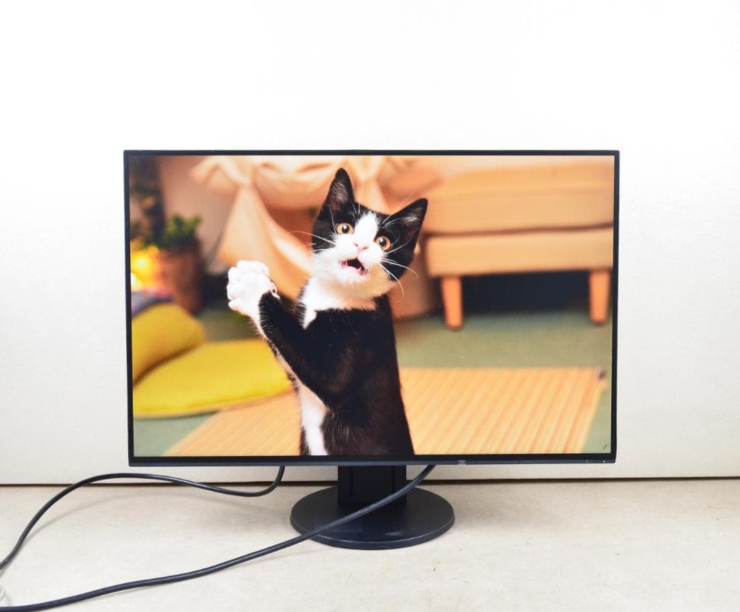 追加購入分　2台　EIZO　EV2456　24型　WUXGA　HDMI　IPS