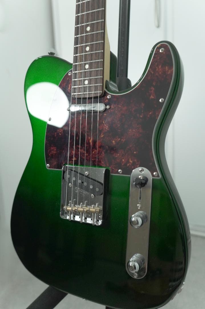 保証書あり FgNフジゲン NTE100RAL CAG FUJIGEN