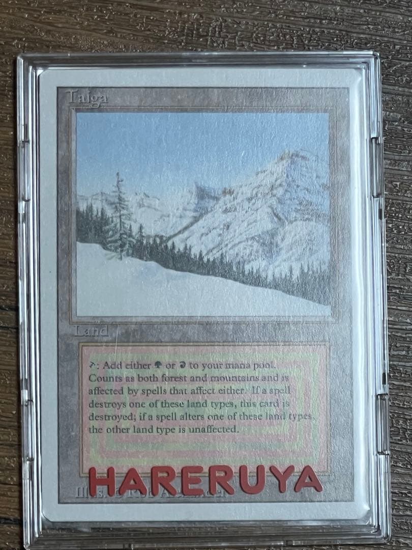 Taiga デュアルランド