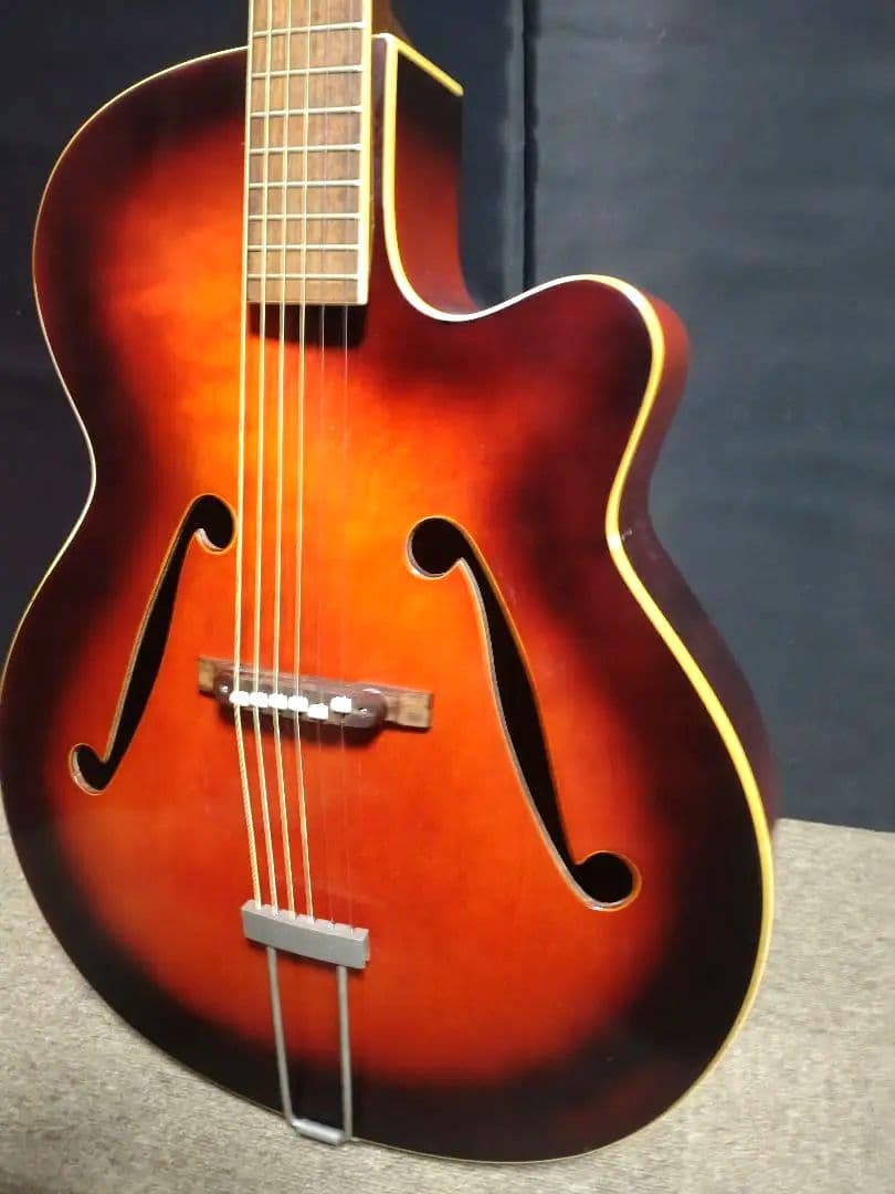 希少！62年framus 5/54 アーチトップギター［ジャンク］