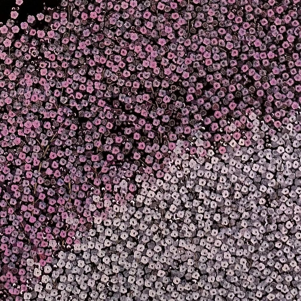 平松礼二、【路一月華】、希少な額装用画集より、新品額装付、状態良好