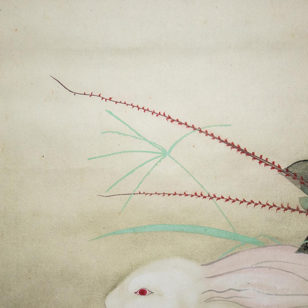 掛軸-984　山村耕花　兎　共箱　個展出品作　松坂屋シール