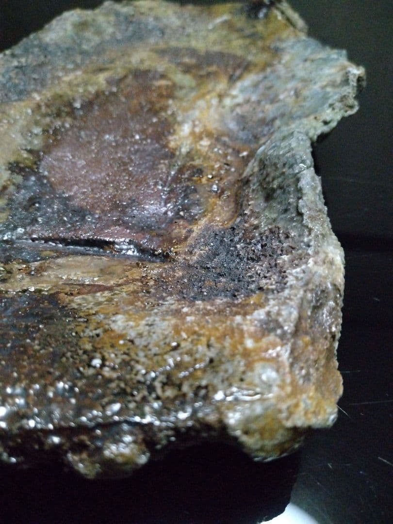 【備前焼 窯変長皿】伝統工芸士 森本 桂／送料込み！