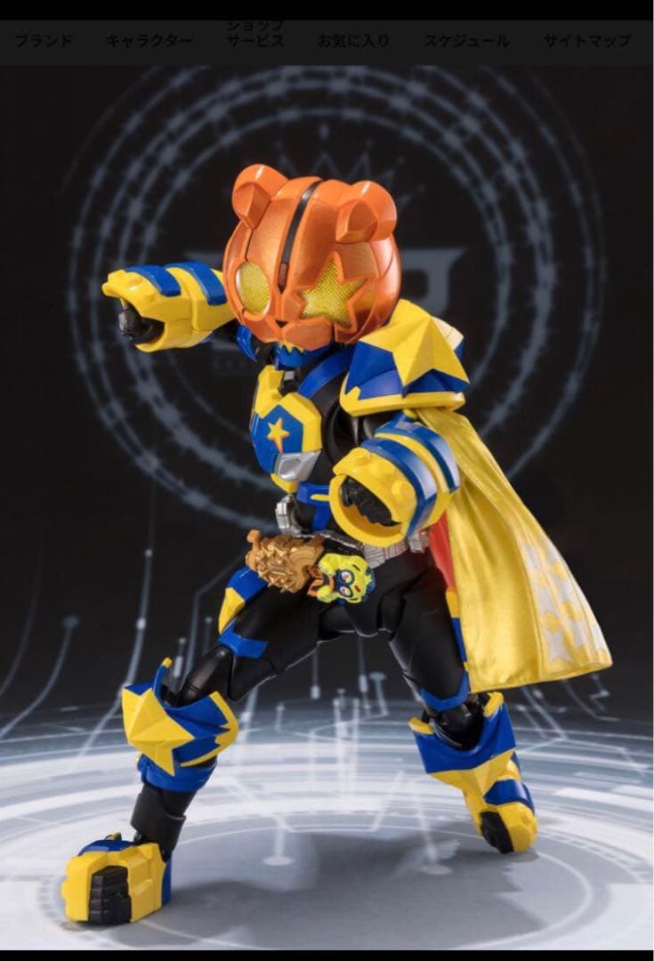 入院中　対応不可