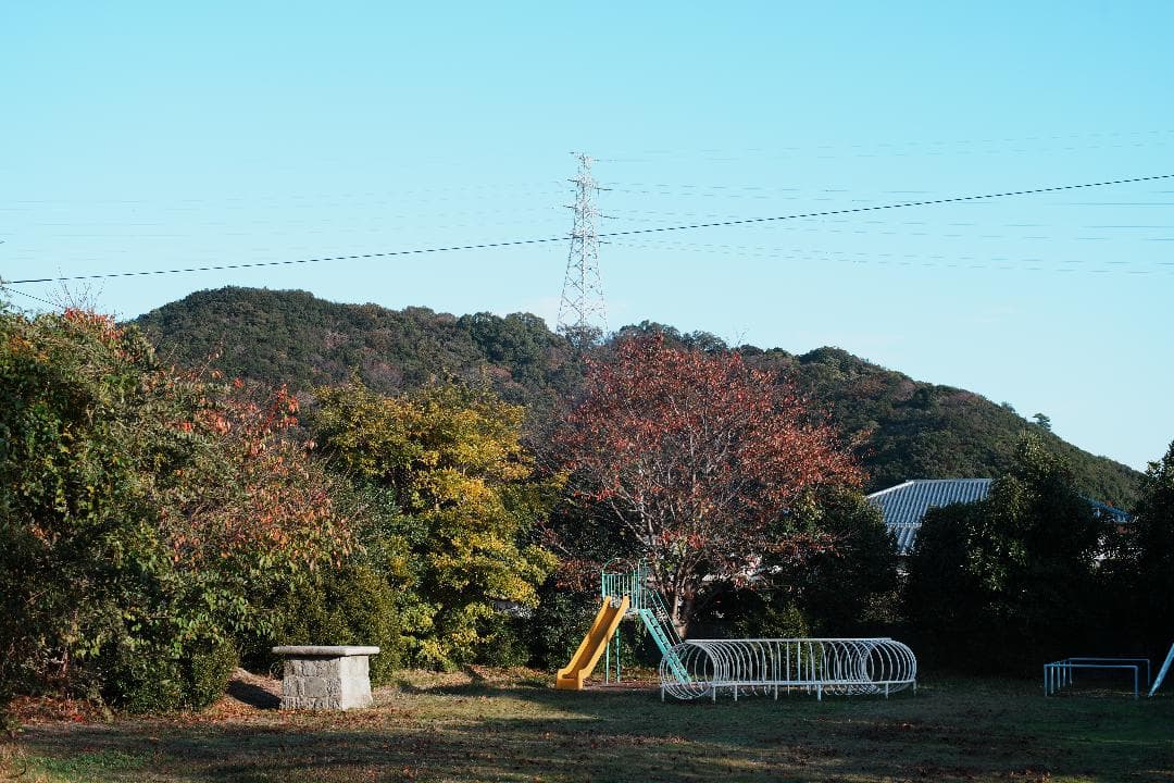 【希少・整備＆テスト済】FUJINON 50mm F1.4 M42 697