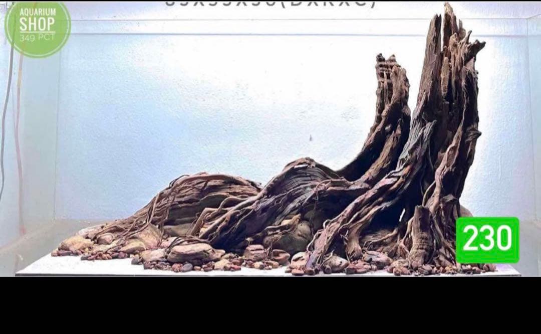 TTD 【⭐︎ しむたらふ様⭐︎】【美品・数量限定】