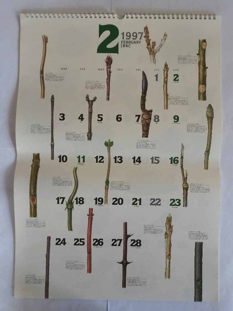 BE-PAL ビーパル カレンダー 新品未使用 1997年　ヴィンテージ