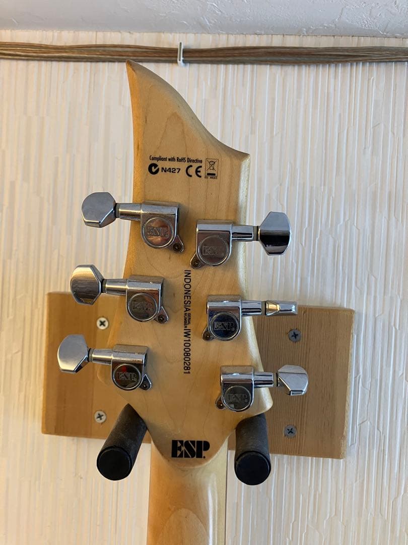 フォレスト　ESP/LTD エレキギター ブラック