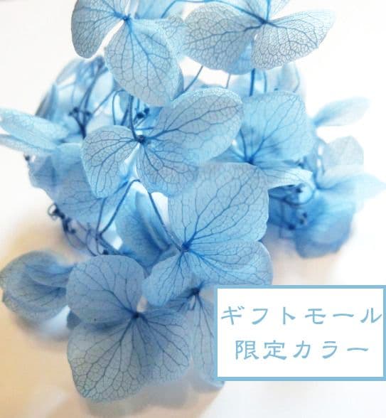 めだか メダカ アート 紅葉 プリザーブドフラワー 金魚 生き物 フィギュア