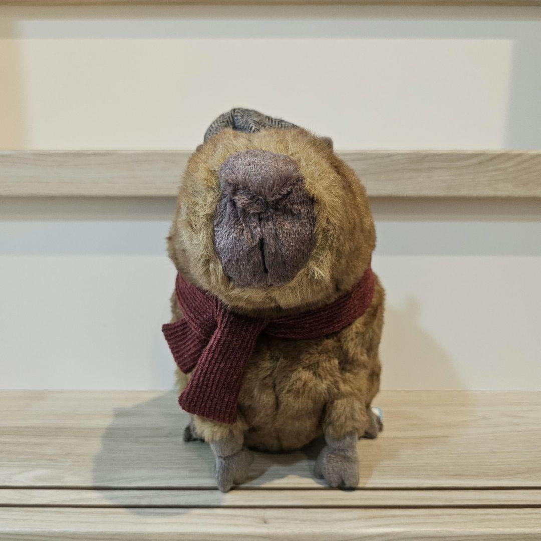 ジェリーキャット カピバラ Clyde Capybara Hipster