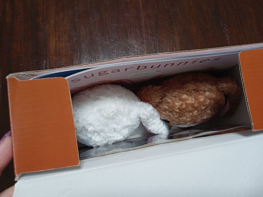 当時物 シュガーバニーズ sugarbunnies ぬいぐるみ2体 絵本セット