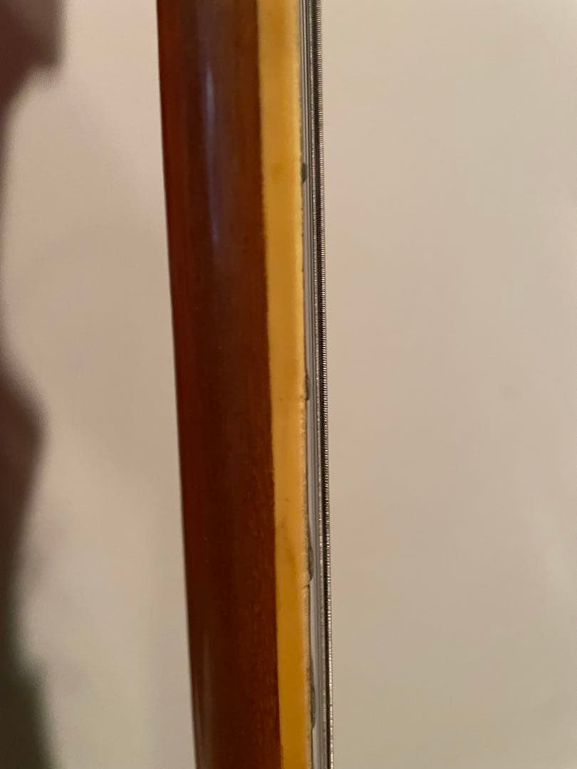 エレキギター　楽器　趣味　機材　コレクション　インテリア　一点もの　年代物