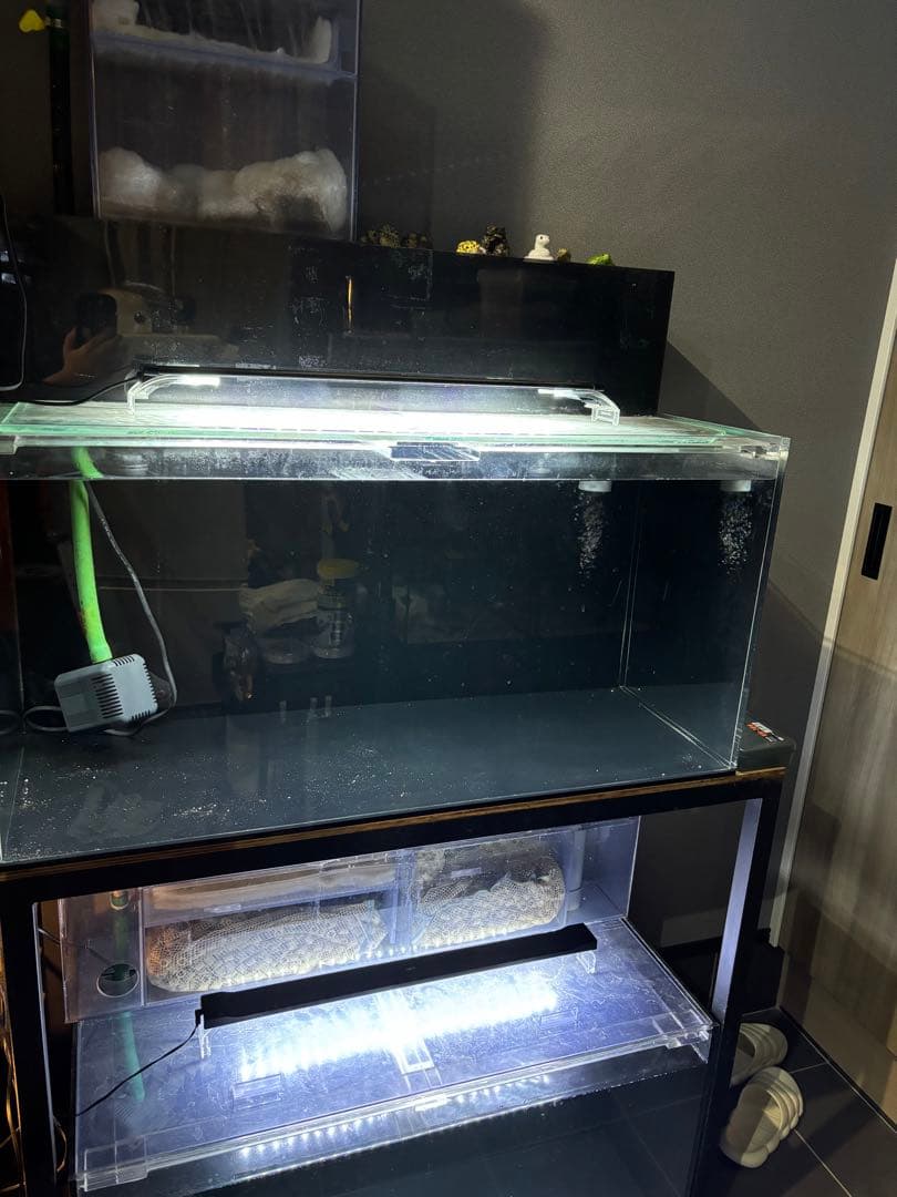 アクリル水槽　ぷぅ工房