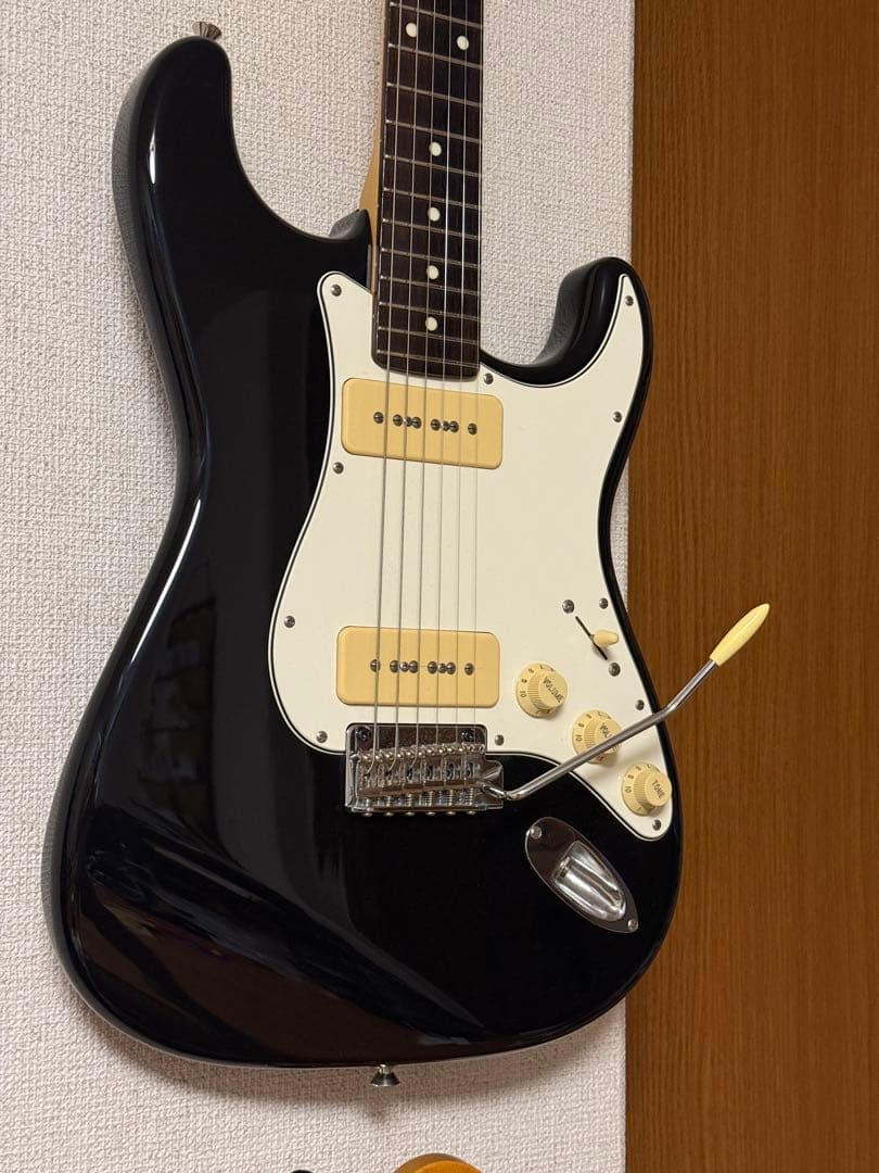 フジゲン　FGN NST12RAL P90ストラト