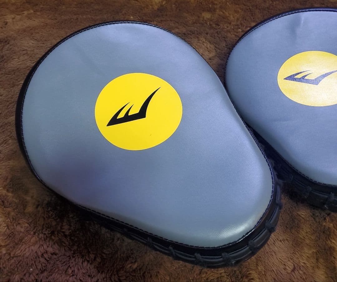 EVERLAST 　ボクシンググローブ　ミット　セット