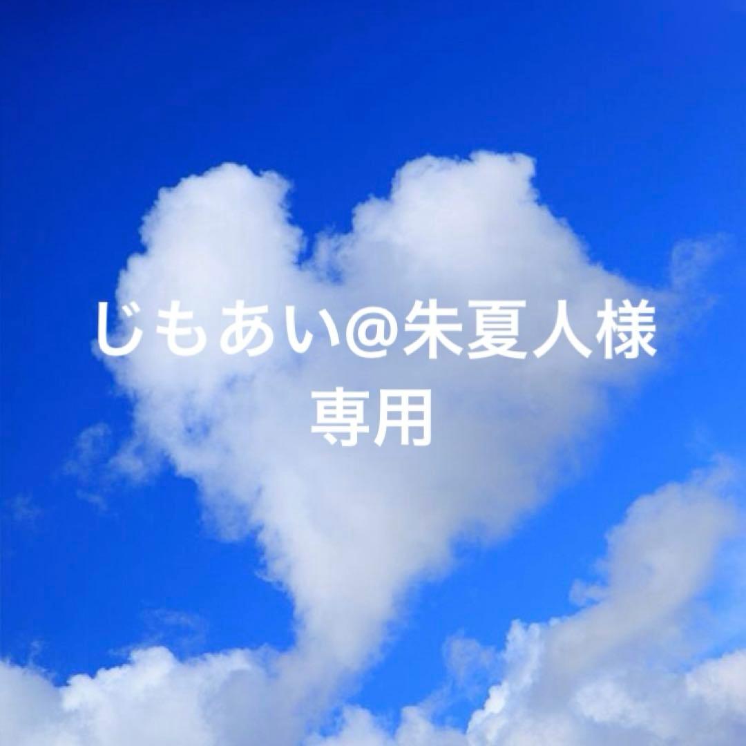 じもあい@朱夏人