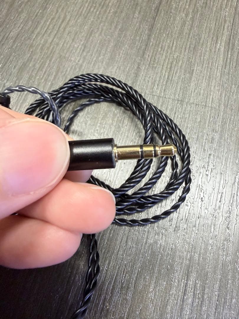 イヤホン Kiwi Ears Etude