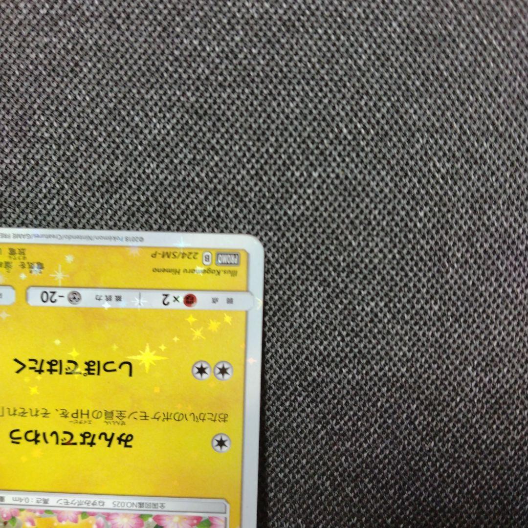 ピカチュウ みんなでいわう プロモ