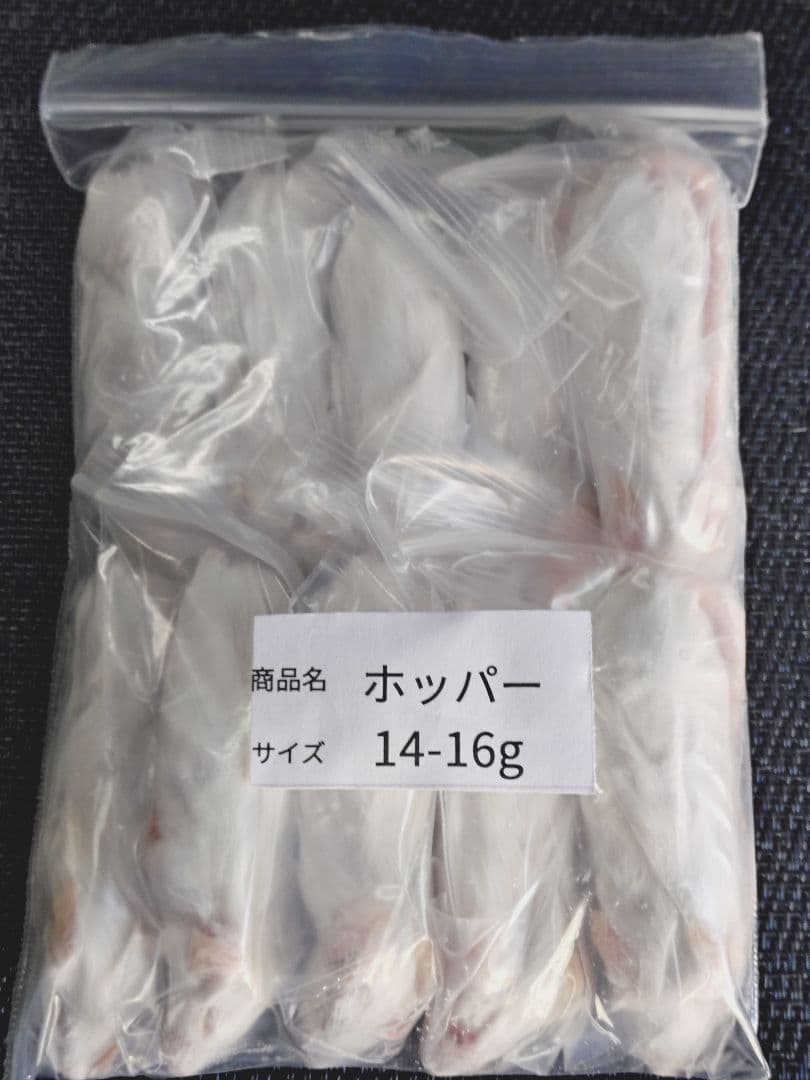 送料無料 冷凍マウスホッパー100匹