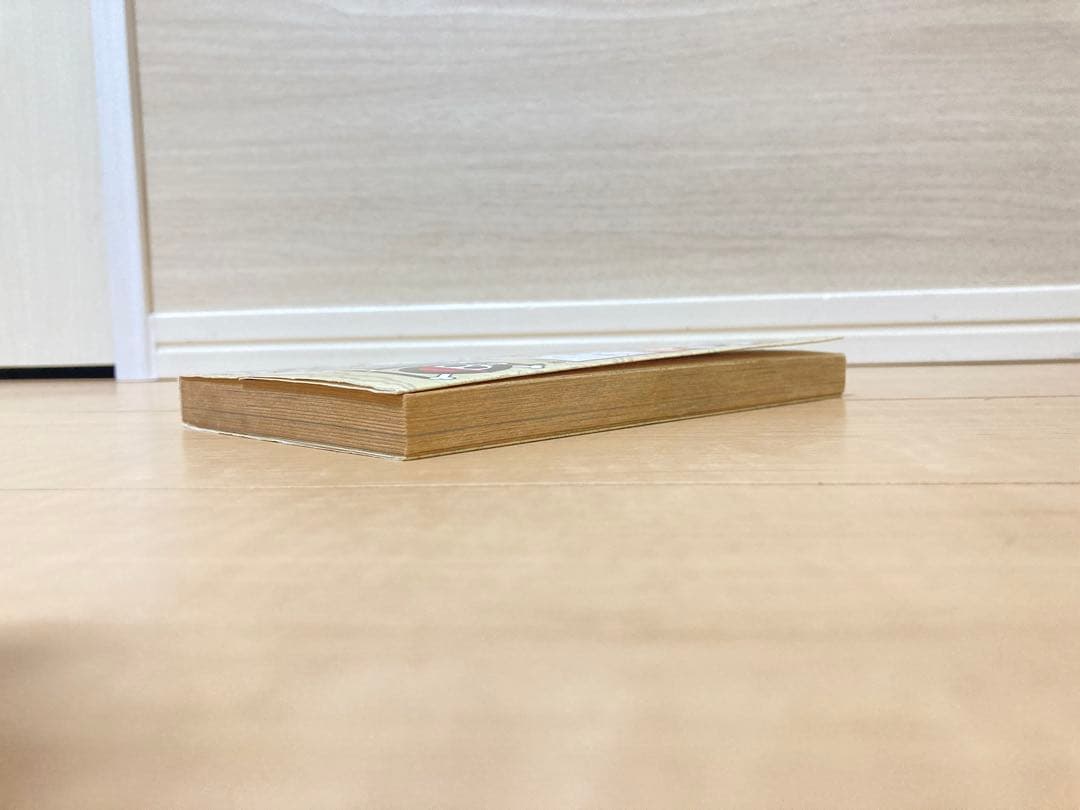 【1997年発行】ワンピース 1巻 初版 尾田栄一郎