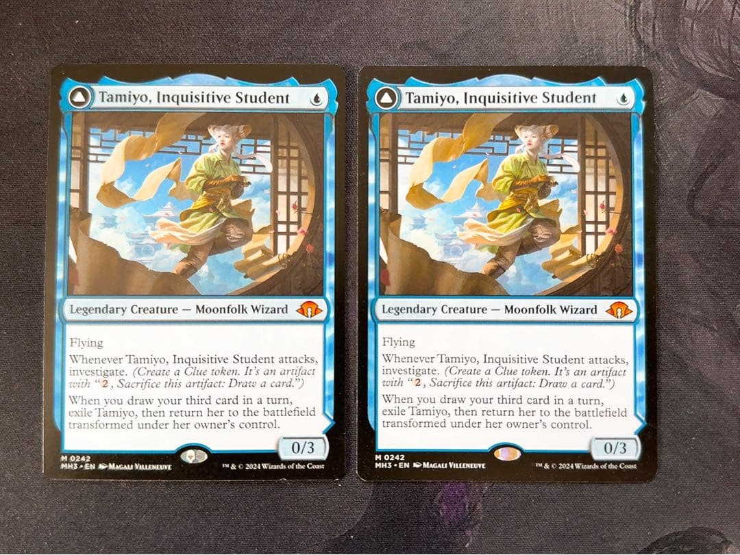 知りたがりの学徒、タミヨウ　英語　2枚セット